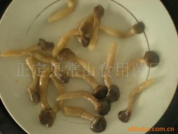 正定县常山食用菌厂 食用菌罐头与食用农产品精选清单