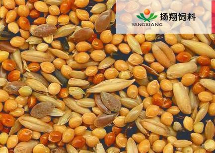 食用农产品物流优化 从工厂到餐桌的协同与升级