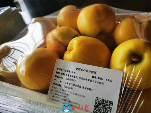 咱是有“身份”的果子了 ——食用农产品数字追溯新趋势观察